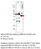 PNPLA3 Antibody