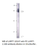 LARP7 Antibody